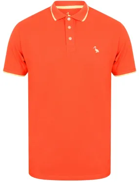 Baser Cotton Pique Polo Shirt In Paprika - South Shore