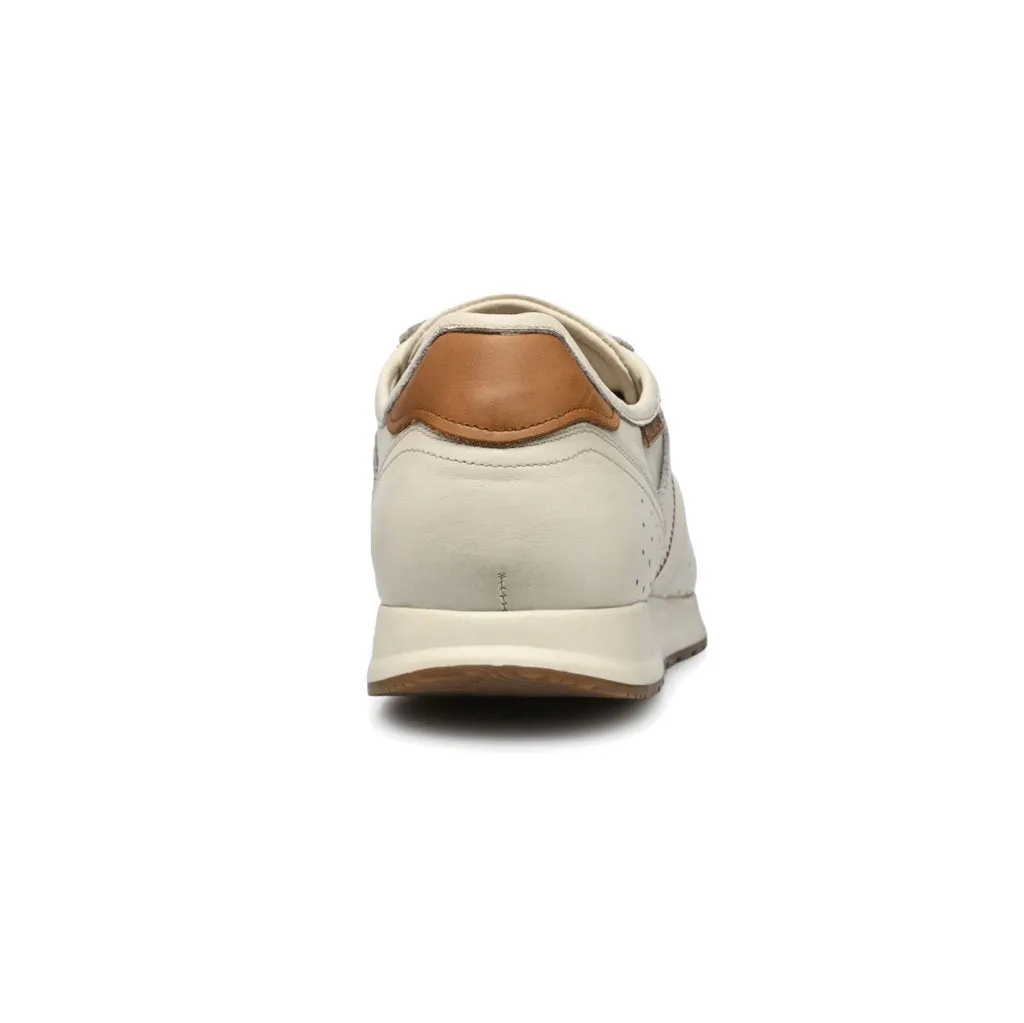 Cambil Leather Men's  Low Top Trainers