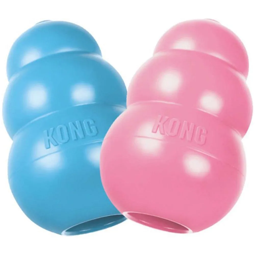 Kong Puppy Medium