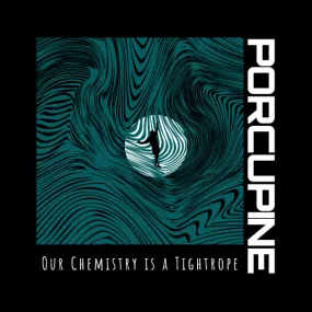 Porcupine – Our Chemistry is a Tightrope Vinyl LP Record